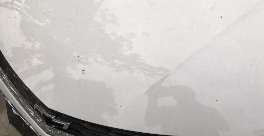 車のガラスに鳥の糞が付着するとガラスが傷つきますか？